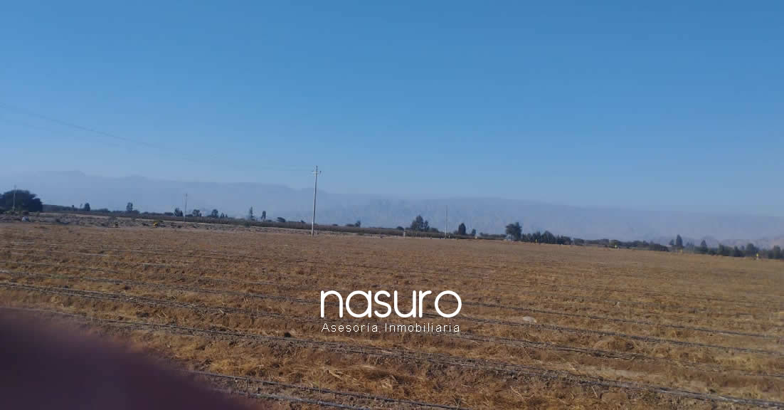 Se vende terreno de 60 ha en Santiago, Ica