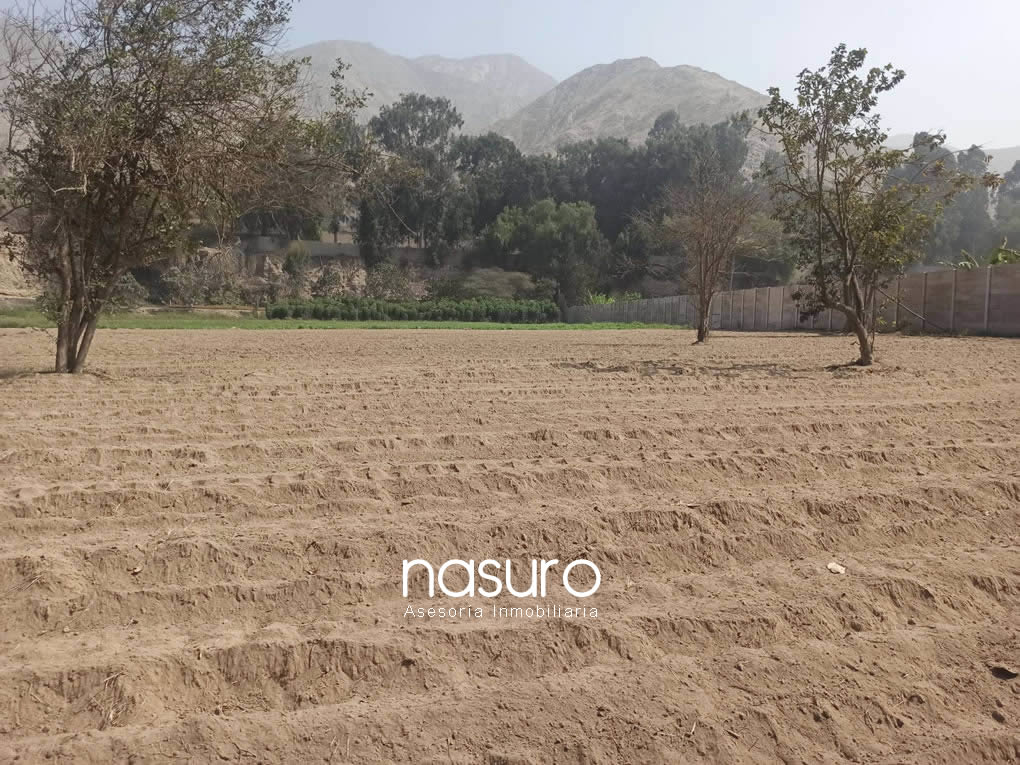 Se vende terreno en el valle de Cieneguilla
