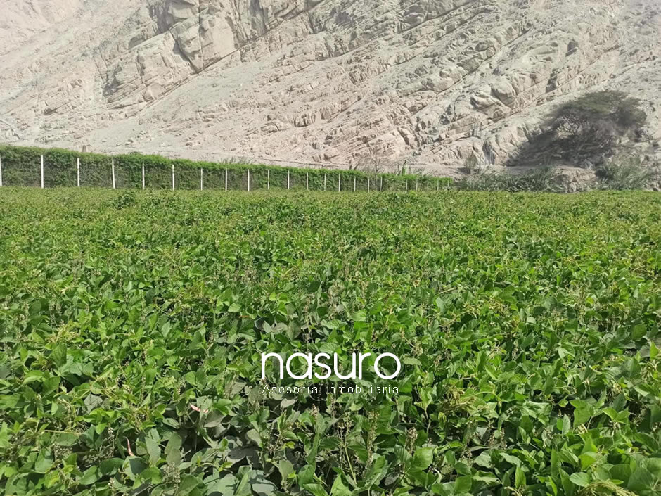 Se vende terreno en Cieneguilla